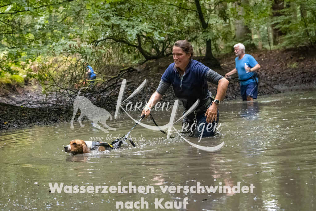 1119_ZZ90681-Bearbeitet-2 | kk-dogfotos