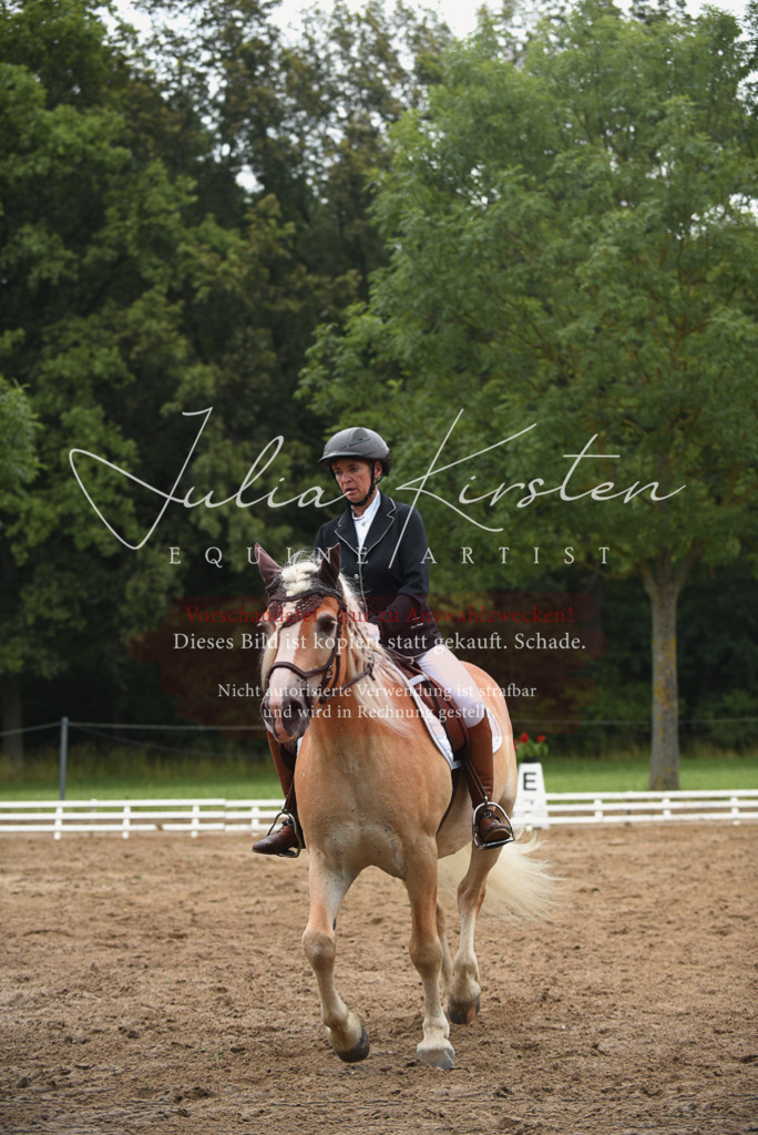 DSC_0138 | Pferde- und Turnierfotografie in Westsachsen. Pferdeportraits, Auftragszeichnungen und intuitive Kunst.