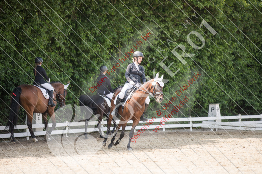 IMG_3591 | Sport-, Event- und Tierfotos in Profiqualität. Einfach auswählen, bestellen und herunterladen. Dein Moment – perfekt festgehalten.