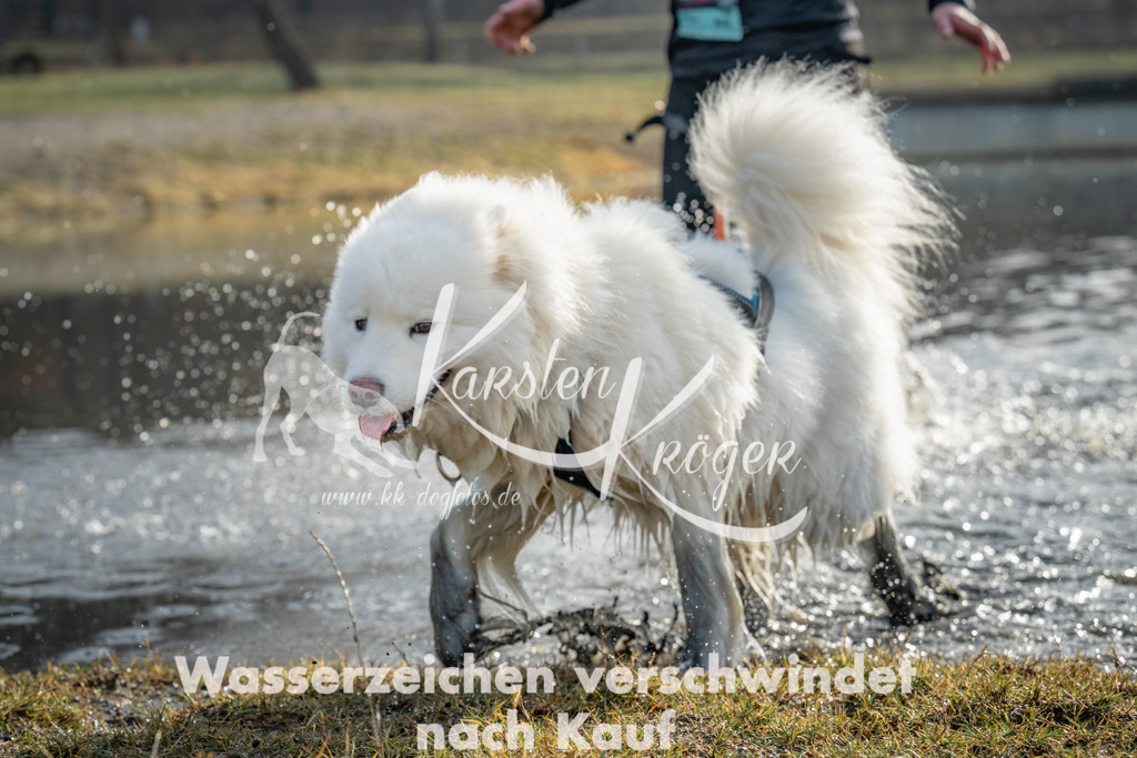 0928_ZZ92003 | kk-dogfotos