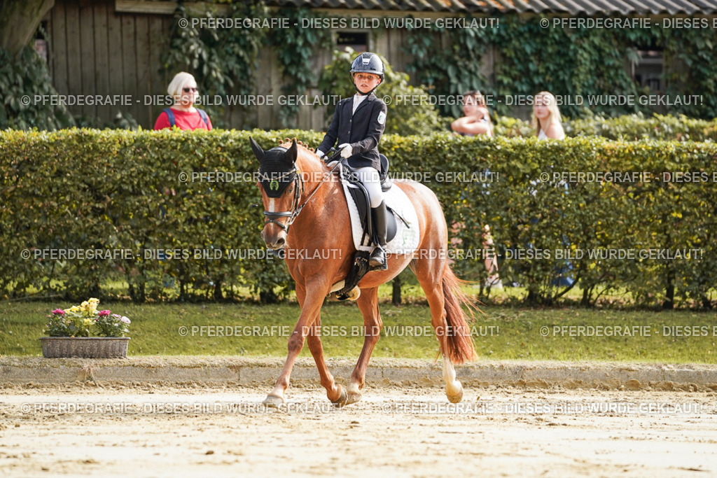 DSC05503 | Pferdegrafie