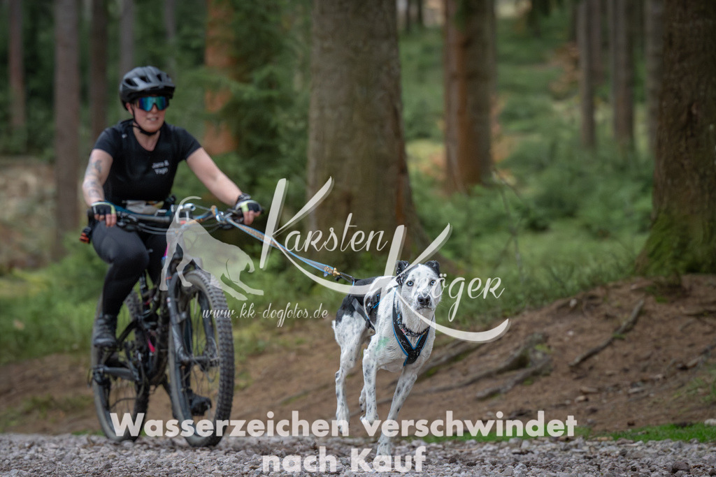 0949_ZZ91988 | kk-dogfotos