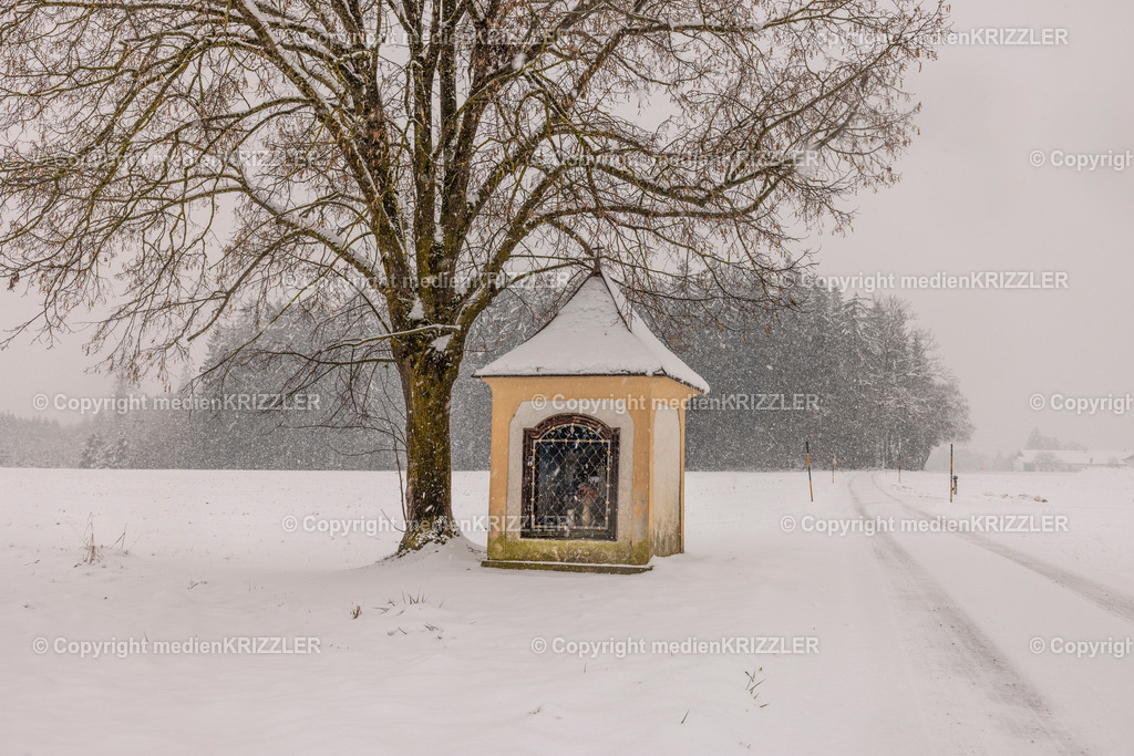 _J3A9556 | medienkrizzler - Realisiert mit Pictrs.com