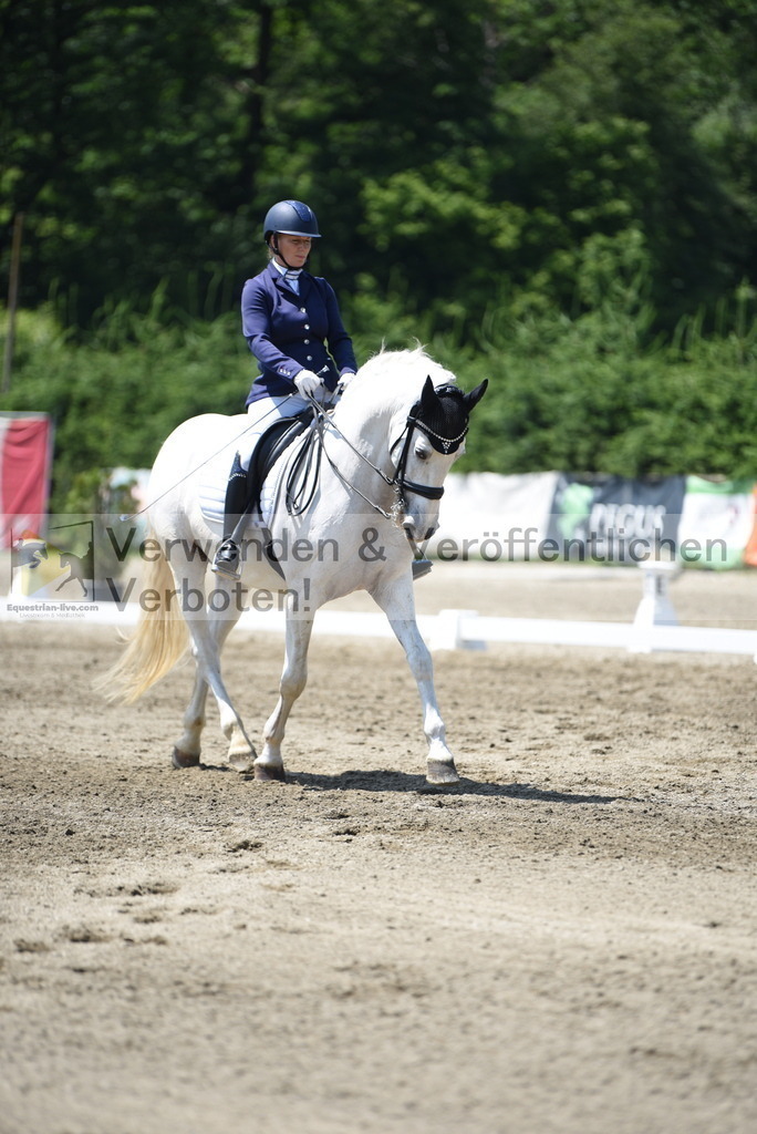 DSC_0240 | equestrian-live-com