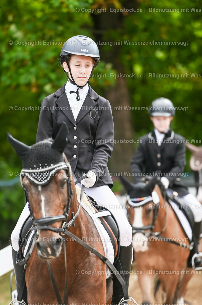 20230716_10-2_Reiter-WB Schritt - Trab - Galopp_0019 | equistock