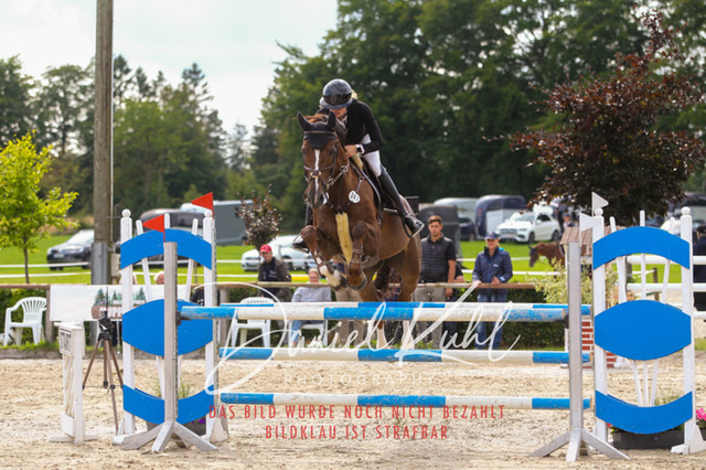 DKP43784 | Turniersportfotografie; Pferdefotografie; Dressurfotografie