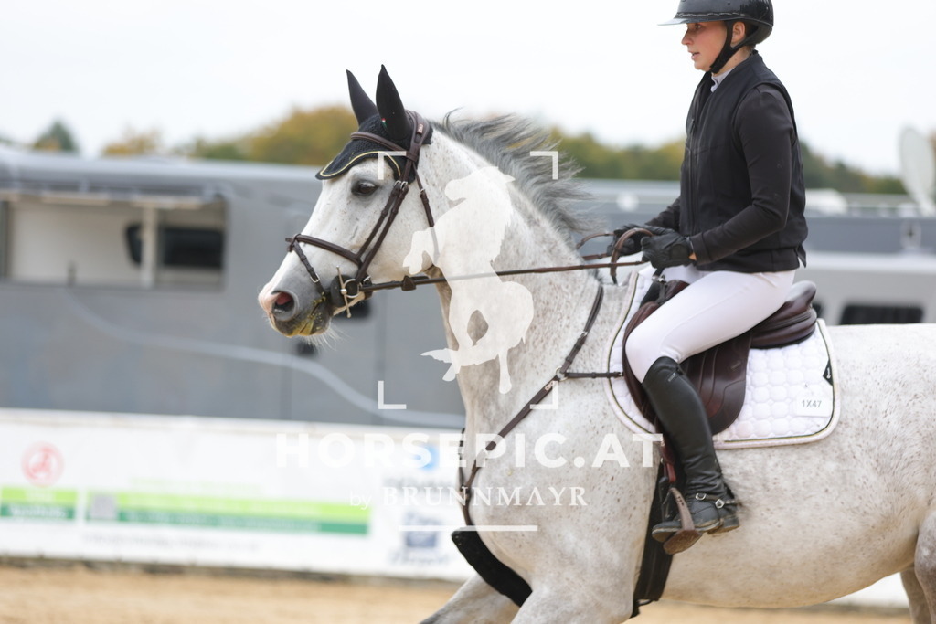 0P6A1911 | Willkommen bei Brunnmayr - Design & Fotografie – Ihrem Spezialisten für Reitturniere und Pferdeveranstaltungen in Oberösterreich, Salzburg und Bayern! Seit über 17 Jahren sind wir leidenschaftlich dabei.