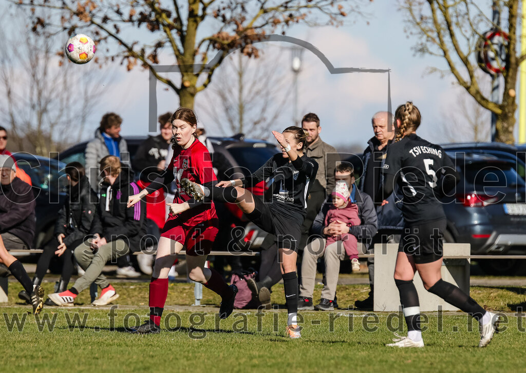 2024-02-25_021_FC_Schwaig_gegen_TSV_Eching | Oberding, Deutschland, 25.02.2024:
Fußball, Bezirksliga 2023 / 2024, Testspiel, FC Schwaig gegen TSV Eching, Endergebnis: 0:5

Emily Grimes (FC Schwaig, #13), Gentiana Hoxha (TSV Eching, #20), Elise Lutz (TSV Eching, #5)

Foto: Christian Riedel / fotografie-riedel.net