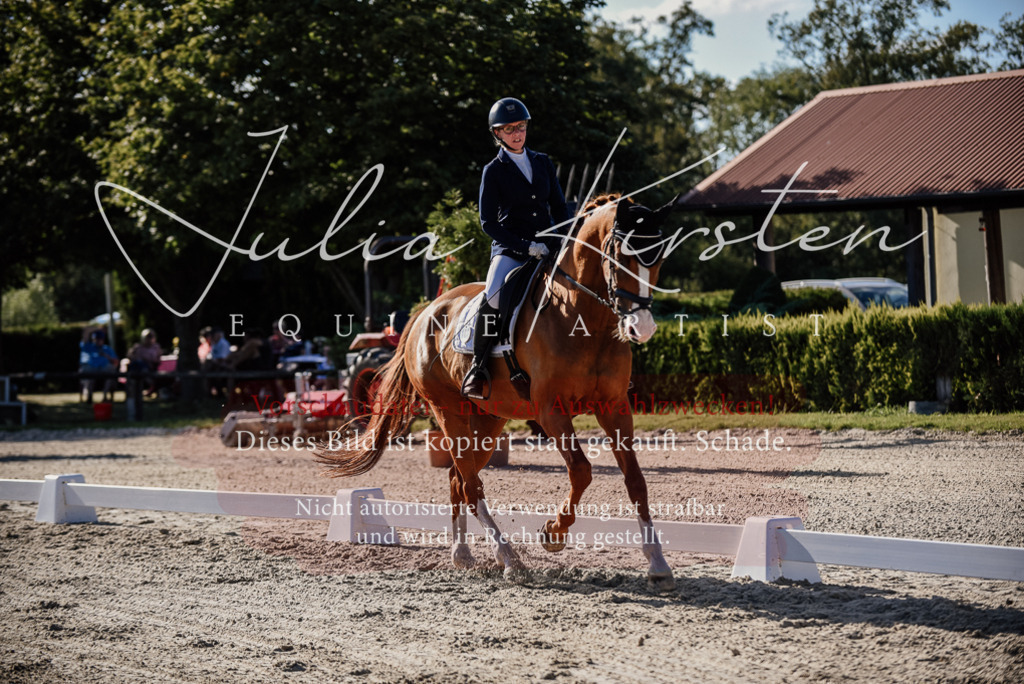DSC_0491 | Pferde- und Turnierfotografie in Westsachsen. Pferdeportraits, Auftragszeichnungen und intuitive Kunst.