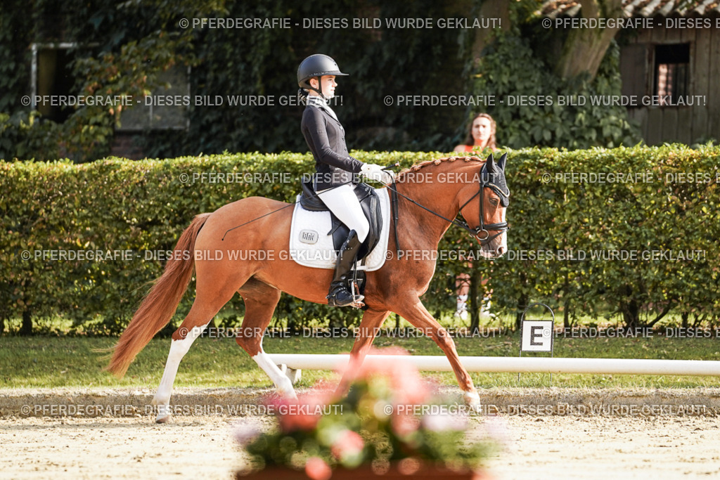 DSC05826 | Pferdegrafie