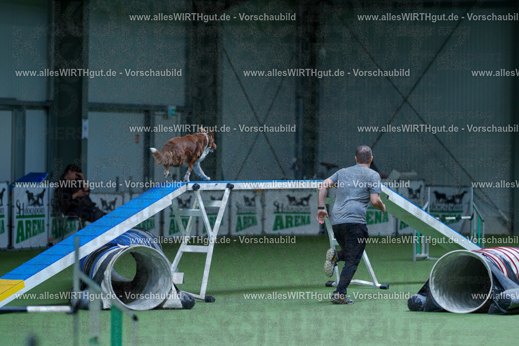 @allesWIRTHgut_Tierfotografie - www.allesWIRTHgut.de - 2604251227-7R501810 | Professionelle Tierfotografie in Mönchengladbach von Daniel Wirth (allesWIRTHgut). Liebevolle & natürliche Bilder von Hunden & Katzen für unvergessliche Erinnerungen.