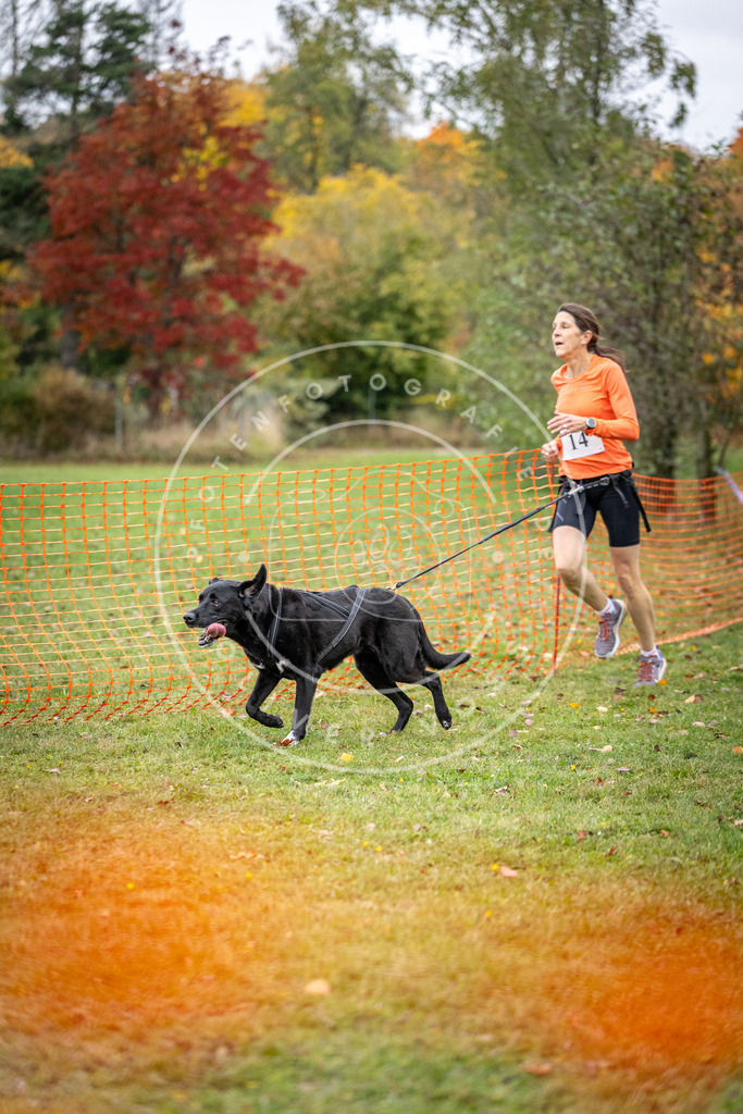 Pfotenfotografie_DV3A1840 | Hundefotografie, Tierfotograf, Pfotenfotografie, Fotoshooting Hund, Hunde Portrait, Hundesport, Hundeportraits, Heideshooting, Hunde, Sportfotograf, Hundefotograf, Turnierhundsport, THS,  - Realisiert mit Pictrs.com