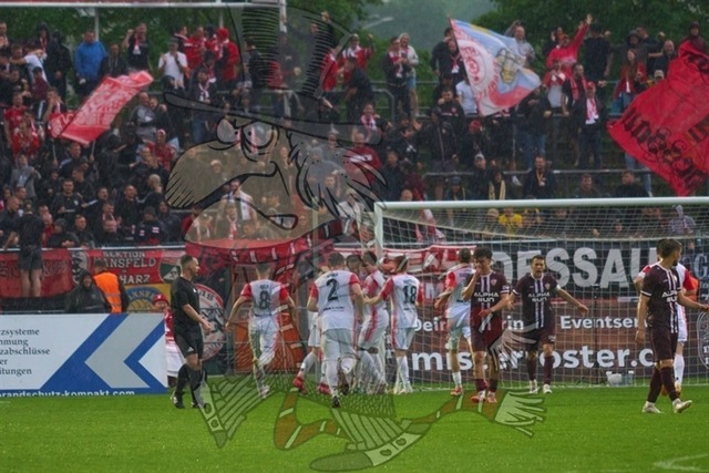 BFC Dynamo vs. Hallescher FC 096 | mythos-online-redaktion
