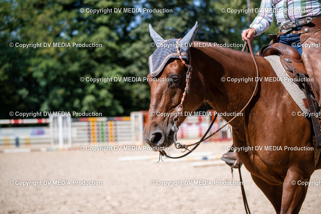 ZS1_1688 | dv-media-shop - Realisiert mit Pictrs.com