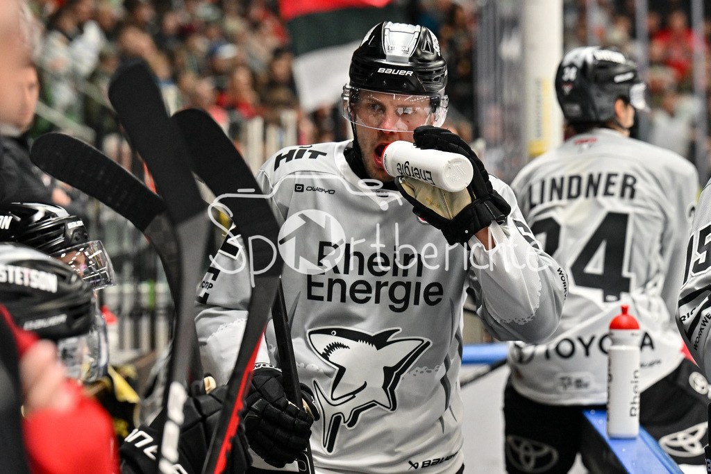 Augsburger Panther - Kölner Haie | Im Bild Parker TUOMIE (Koelner Haie #62) / Freisteller / Einzelfoto / DEL: Augsburger Panther - Kölner Haie, Curt Frenzel Stadion am 29.09.2024