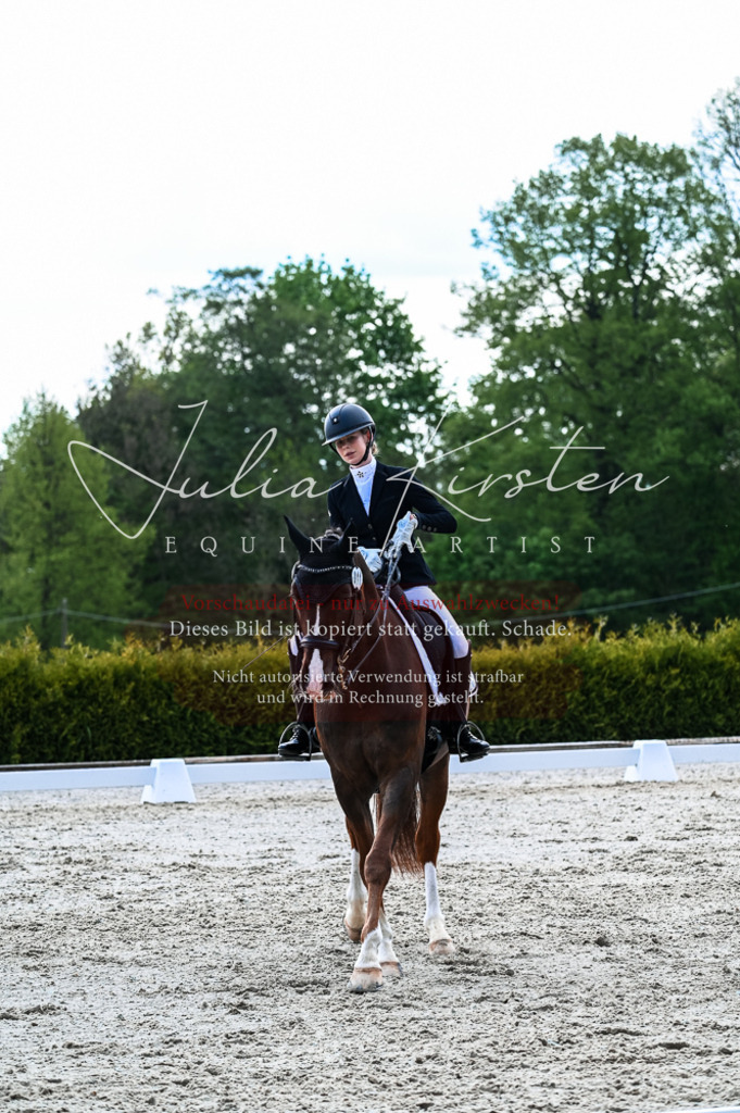 20230513_JK-Röhrsdorf-10-0507 | Pferde- und Turnierfotografie in Westsachsen. Pferdeportraits, Auftragszeichnungen und intuitive Kunst.