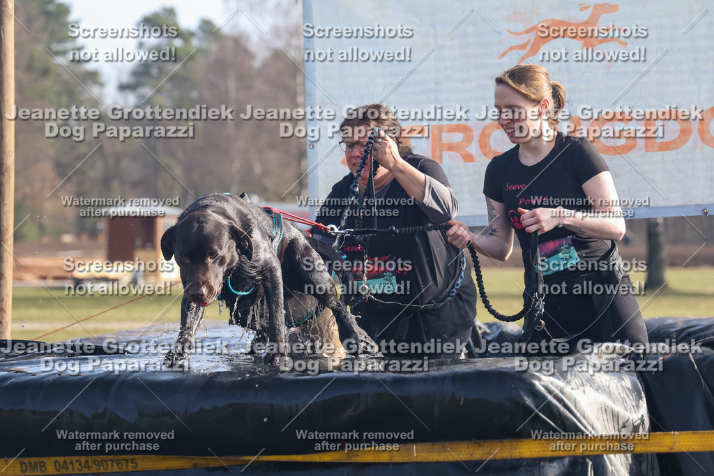 Dog Paparazzi - Strongdog North Mrz26-710 | Dog Paparazzi Jeanette Grottendiek Fotografie & Videografie - Realisiert mit Pictrs.com