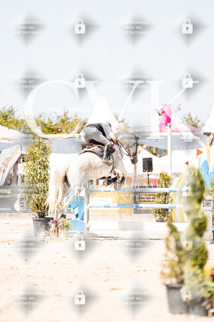 CK909921 | Turnierfotografie Pferdefotografie Trier Rheinland-Pfalz Pferdesport Reitsport Tierfotografie Sportfotografie Pferdevideo Pferdevideografie Equestrianvideography equestrianphotography  - Realisiert mit Pictrs.com