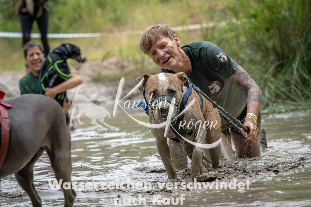 1346_ZZ92595 | kk-dogfotos
