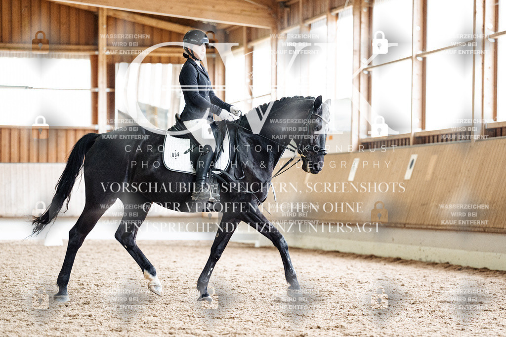 CK901094 | Turnierfotografie Pferdefotografie Trier Rheinland-Pfalz Pferdesport Reitsport Tierfotografie Sportfotografie Pferdevideo Pferdevideografie Equestrianvideography equestrianphotography  - Realized with Pictrs.com