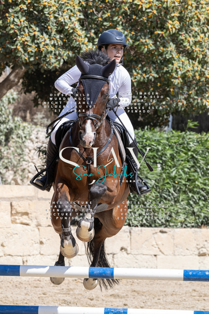 IMG_3933 | s-jay-photography - Realisiert mit Pictrs.com