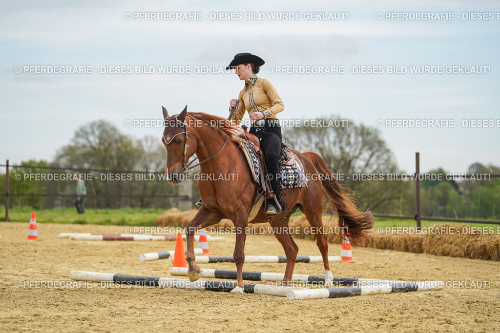 DSC03277 | Pferdegrafie