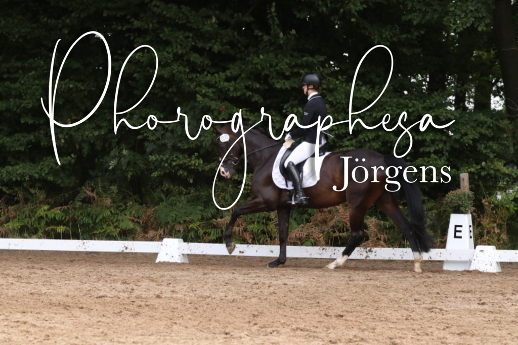 IMG_0210 | photographesa-joergens - Realisiert mit Pictrs.com