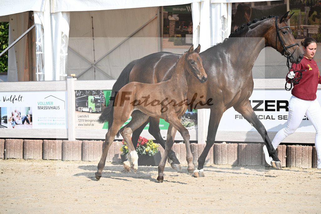 Sane x Fuerst Romancier_SF_Fritz_12250068 | hf-fotografie - Realizzato con Pictrs.com