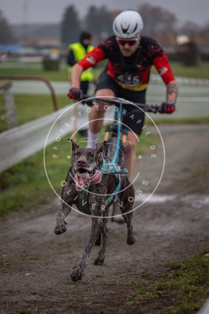 CaniXpix_0L8A1001 | Hundefotografie, Tierfotograf, Pfotenfotografie, Fotoshooting Hund, Hunde Portrait, Hundesport, Hundeportraits, Heideshooting, Hunde, Sportfotograf, Hundefotograf, Turnierhundsport, THS,  - Realisiert mit Pictrs.com