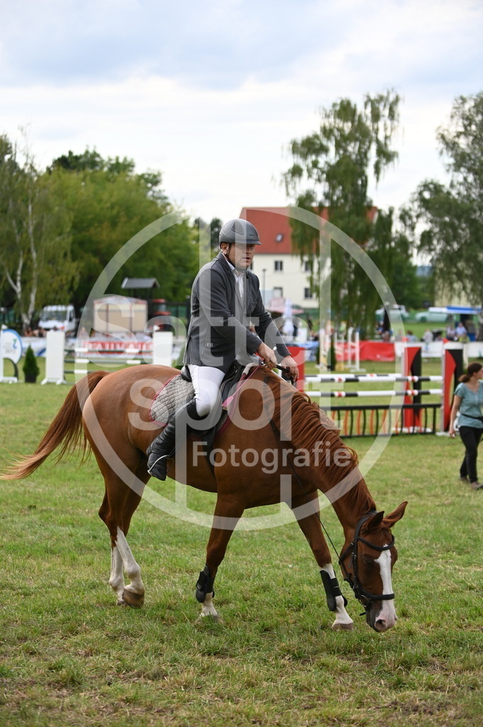 DSC_3947 | sattelsport - Realisiert mit Pictrs.com