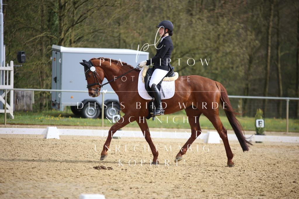 IMGT6732 | pl-fotografie