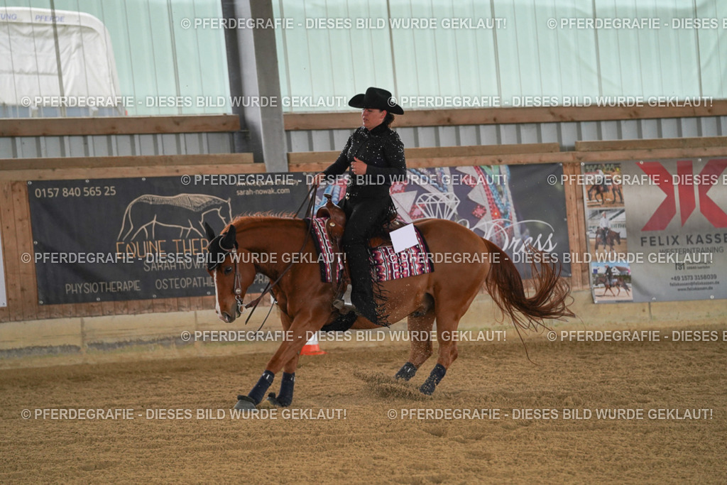 DSC07044 | Pferdegrafie