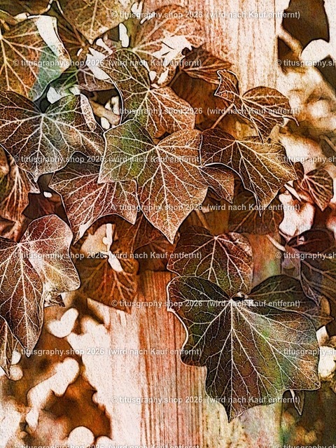 titusgraphy_P4045808-vz-ln_pe_pe-08 | titusgraphy-shop: Geschenkideen mit Qualitätsfotos. titusgraphy-shop: gift ideas with quality photos. titusgraphy-shop: idées cadeaux avec photos de qualité.  - Realisiert mit Pictrs.com