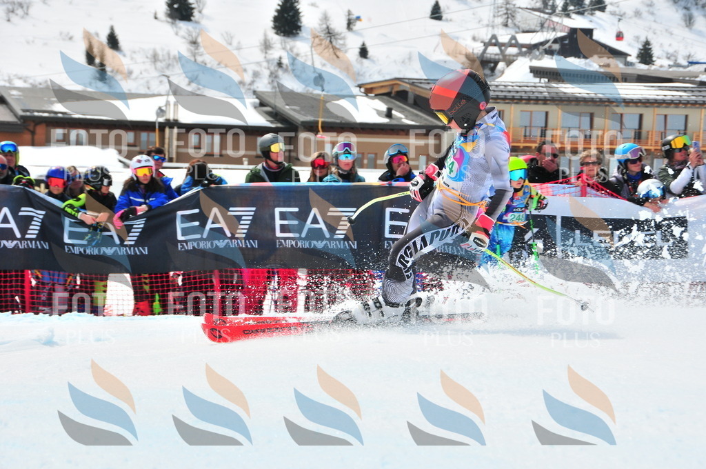 DSC_2362 | holidayphoto