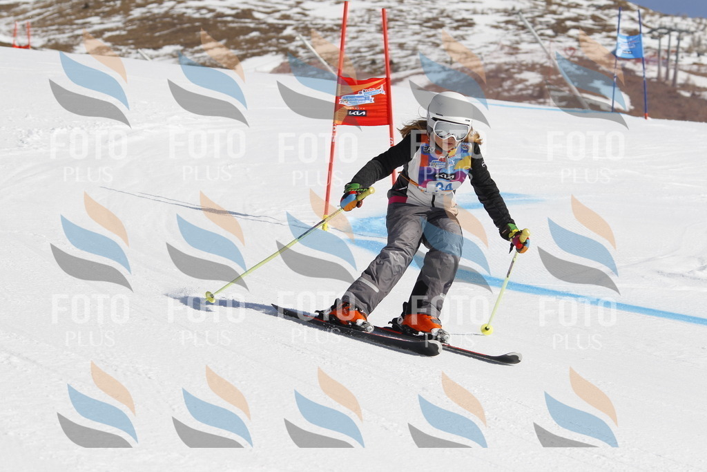 _U3G9122 | holidayphoto