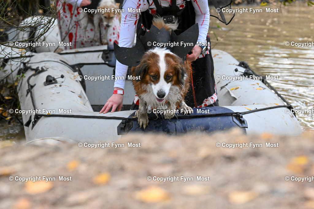DSC_9832 | Hallo und herzlich Willkommen auf meiner Shop-Seite Fynn Most.

Ich wünsche Dir viel Spaß beim stöbern durch die Bilder, wenn Du Fragen hast oder Bilder vermisst, kannst du mir gerne eine Nachricht schreiben. - Realisiert mit Pictrs.com