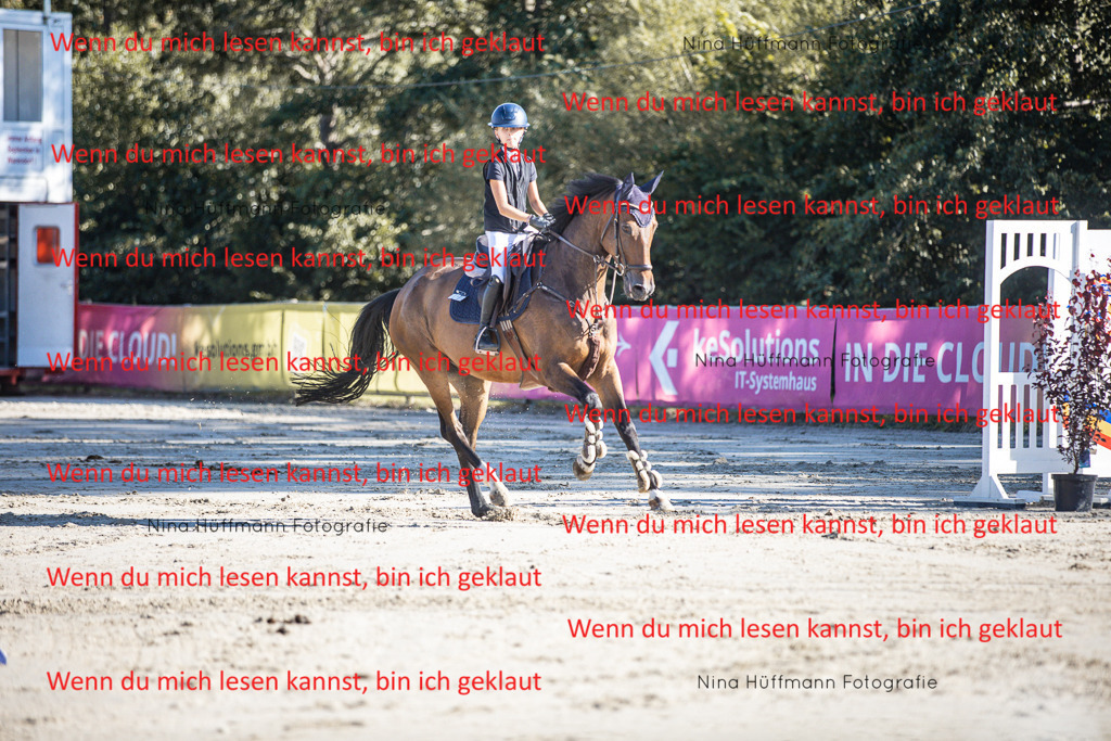 BK1A7449 | Turnierbilder Turnierfotos Nina Hüffmann Turnierfotografie Pferdefotografie Tierzeichnung Haustierzeichnung Pferdezeichnung Hundezeichnung Videograf  - Realisiert mit Pictrs.com