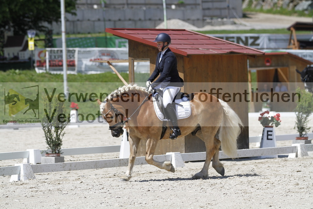 _MG_5275 | equestrian-live-com