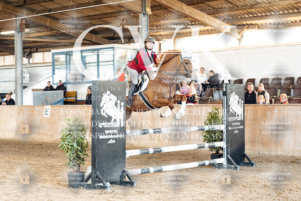 CK904969 | Turnierfotografie Pferdefotografie Trier Rheinland-Pfalz Pferdesport Reitsport Tierfotografie Sportfotografie Pferdevideo Pferdevideografie Equestrianvideography equestrianphotography  - Realized with Pictrs.com