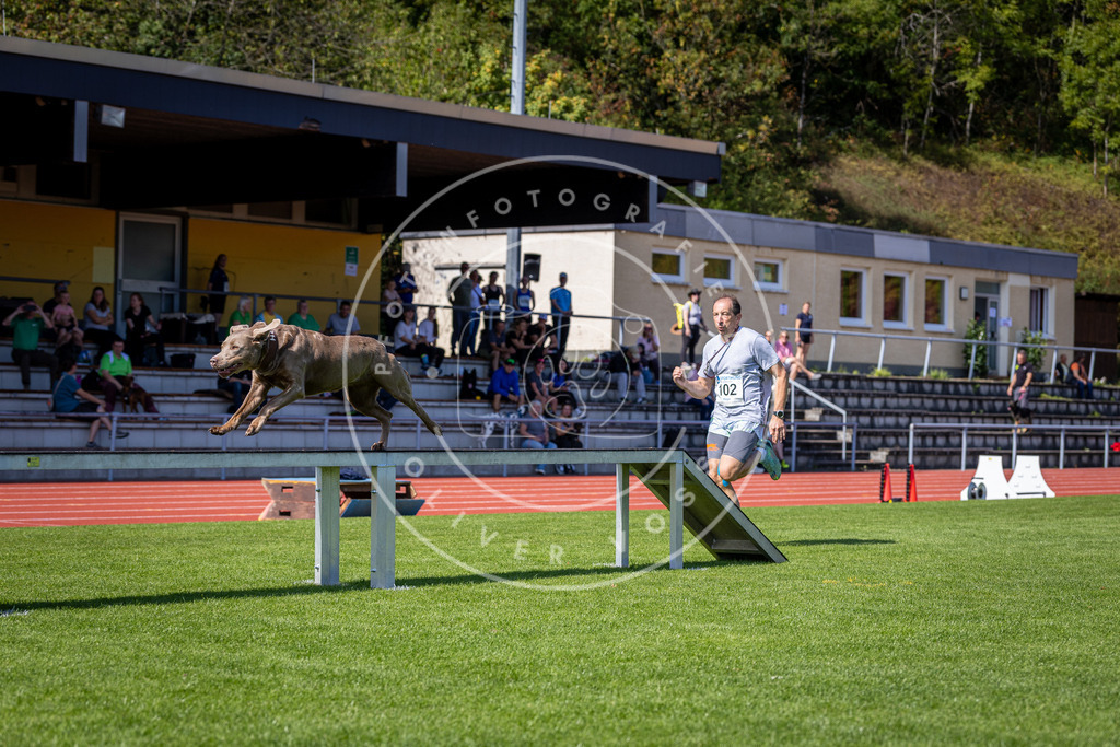 Pfotenfotografie_DV3A8072 | Hundefotografie, Tierfotograf, Pfotenfotografie, Fotoshooting Hund, Hunde Portrait, Hundesport, Hundeportraits, Heideshooting, Hunde, Sportfotograf, Hundefotograf, Turnierhundsport, THS,  - Realisiert mit Pictrs.com