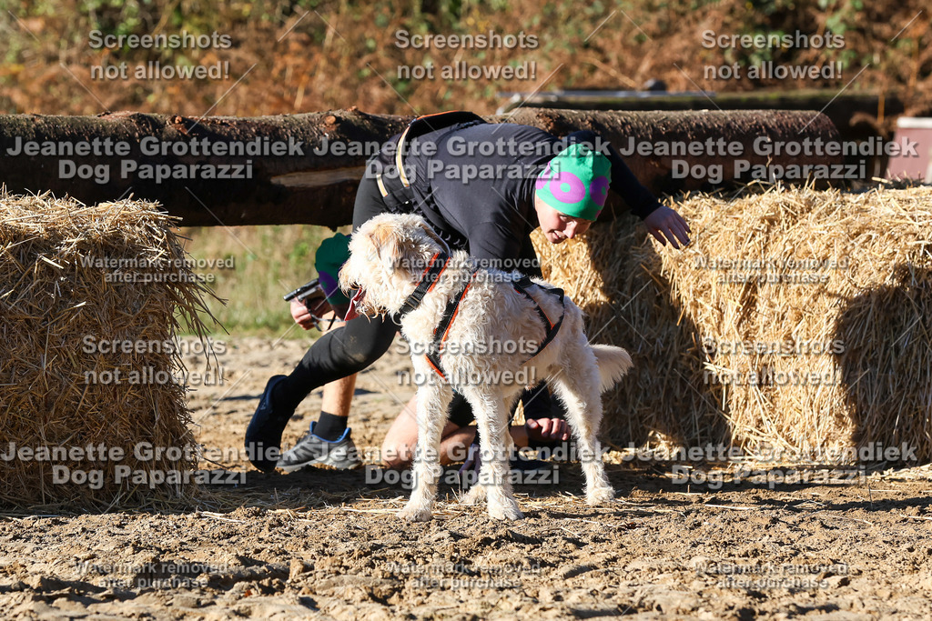 Dog Paparazzi - Strongdog 10-25-1874 | Dog Paparazzi Jeanette Grottendiek Fotografie & Videografie - Realisiert mit Pictrs.com