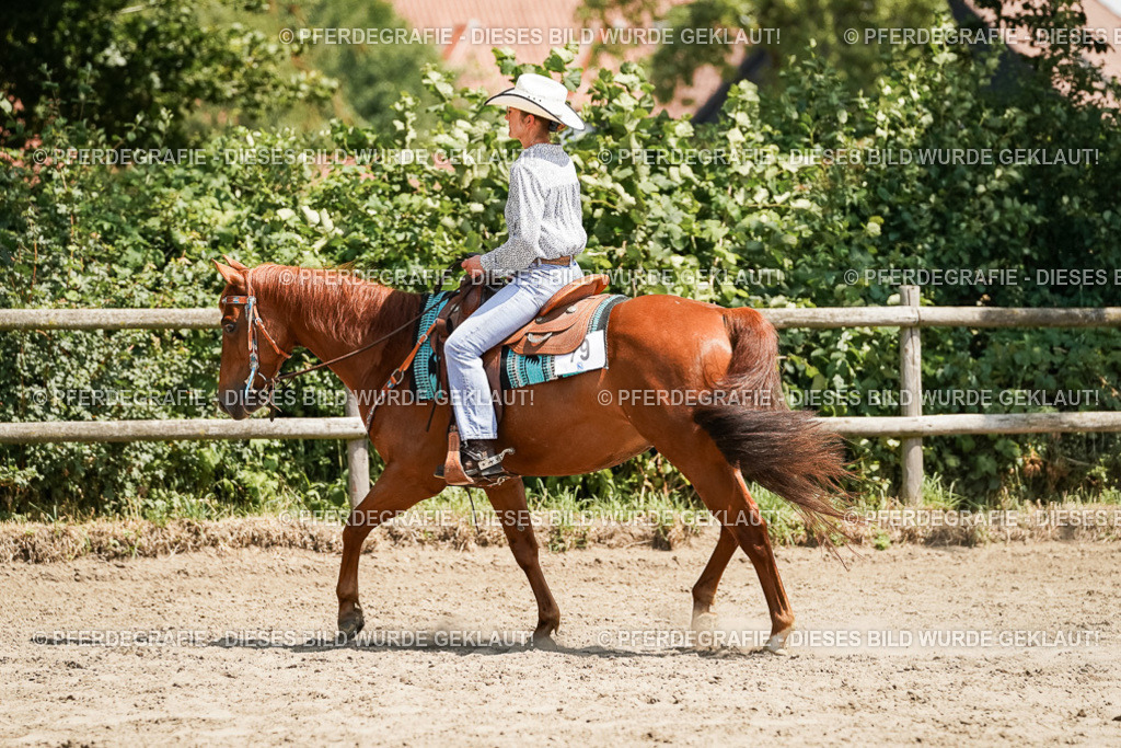 DSC09538 | Pferdegrafie