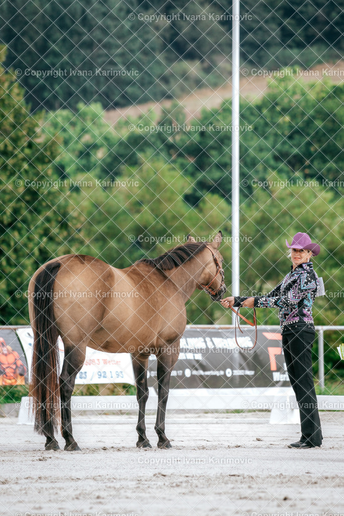 DSC02608 | ikphotography - Realisiert mit Pictrs.com