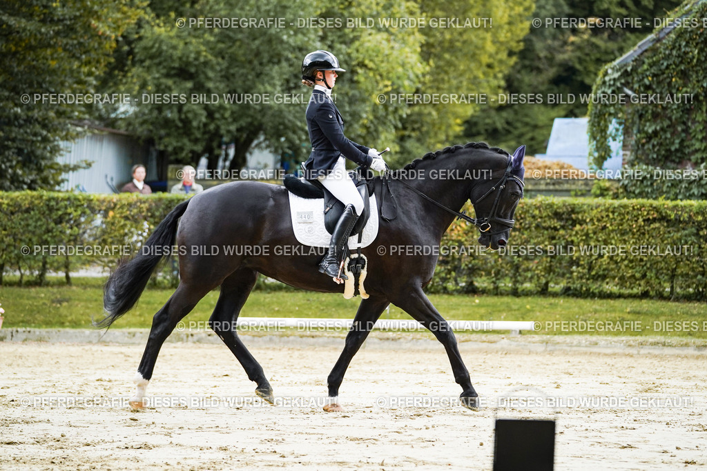 DSC06485 | Pferdegrafie