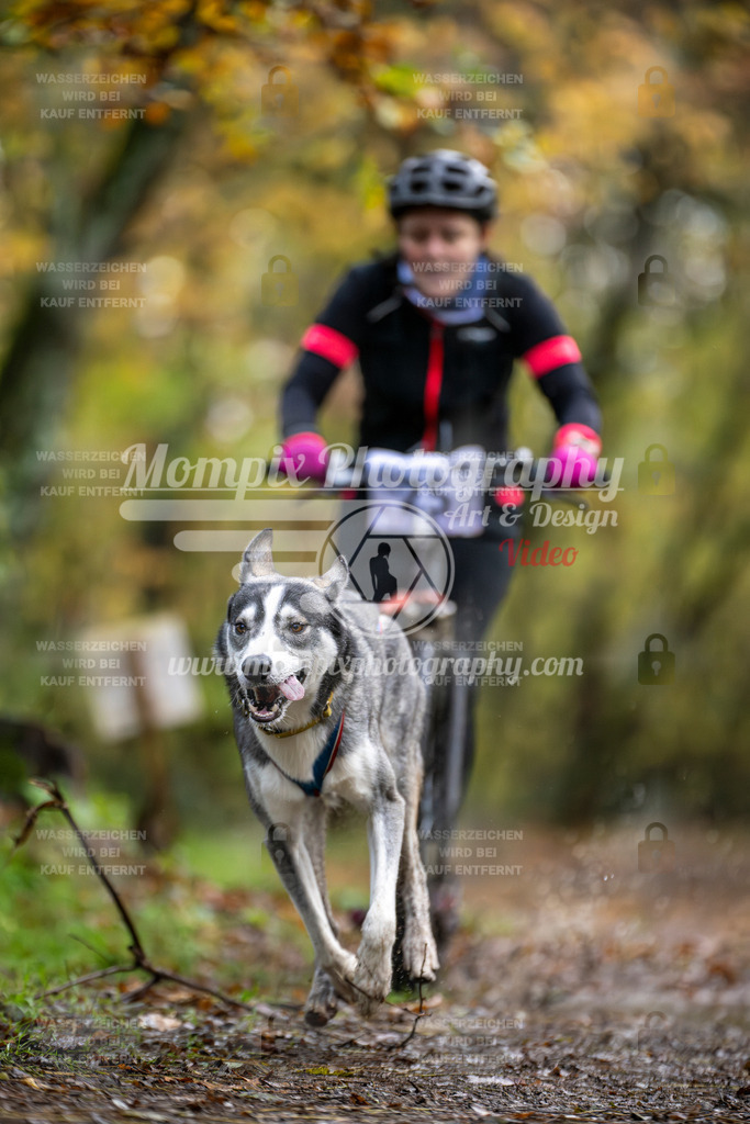 MompixPhotography_Bischwiller23_DS1-6 | PayLife
