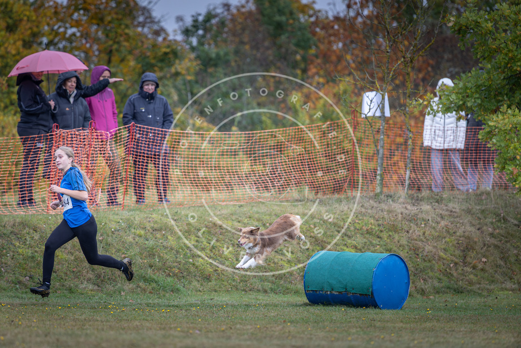 Pfotenfotografie_DV3A0405 | Hundefotografie, Tierfotograf, Pfotenfotografie, Fotoshooting Hund, Hunde Portrait, Hundesport, Hundeportraits, Heideshooting, Hunde, Sportfotograf, Hundefotograf, Turnierhundsport, THS,  - Realisiert mit Pictrs.com