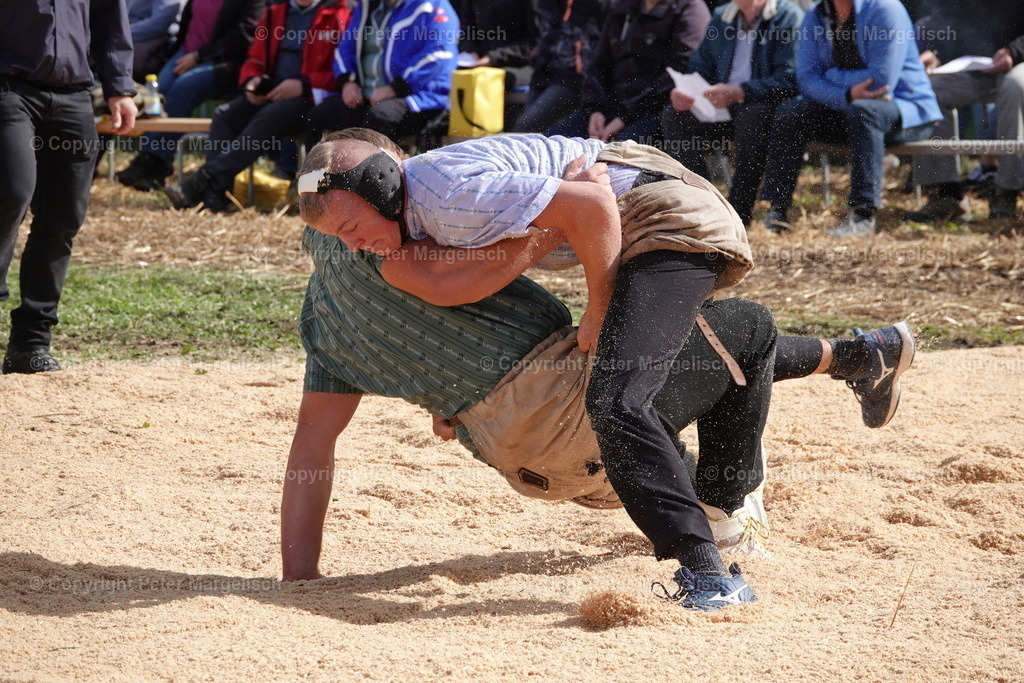 DSC00055 | Schwingen - Realisiert mit Pictrs.com