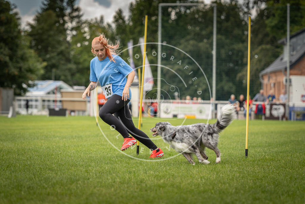 Pfotenfotografie_DV3A2603 | Hundefotografie, Tierfotograf, Pfotenfotografie, Fotoshooting Hund, Hunde Portrait, Hundesport, Hundeportraits, Heideshooting, Hunde, Sportfotograf, Hundefotograf, Turnierhundsport, THS,  - Realisiert mit Pictrs.com