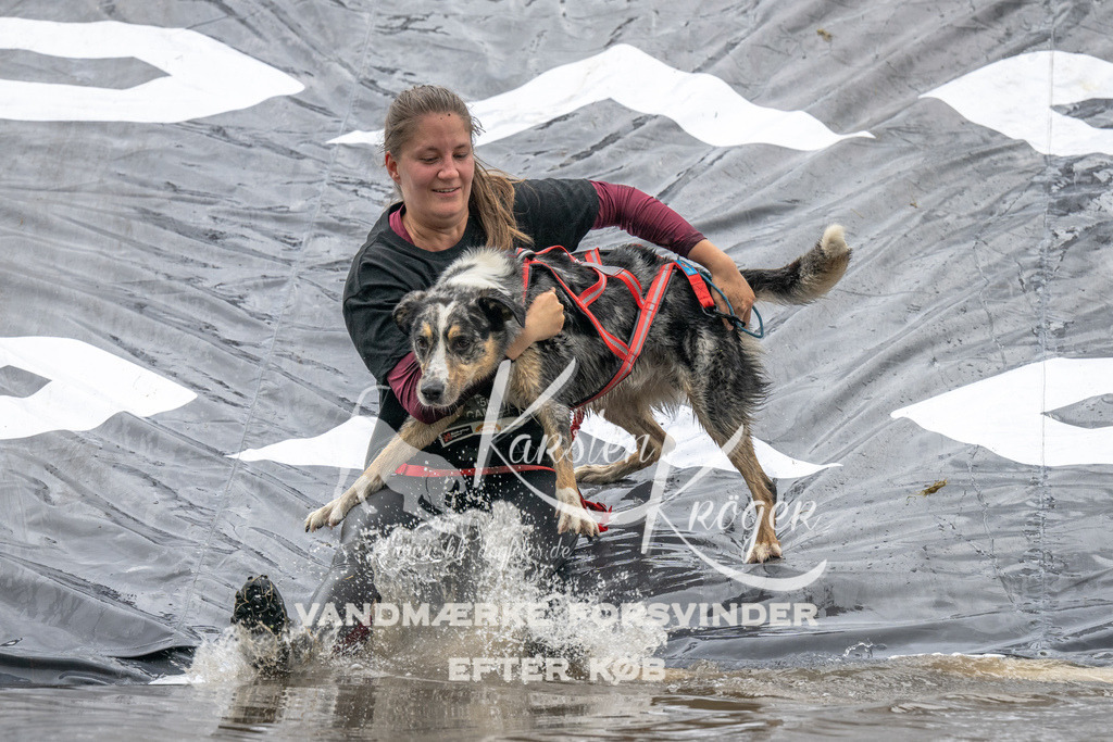 1425_ZZ90379 | kk-dogfotos