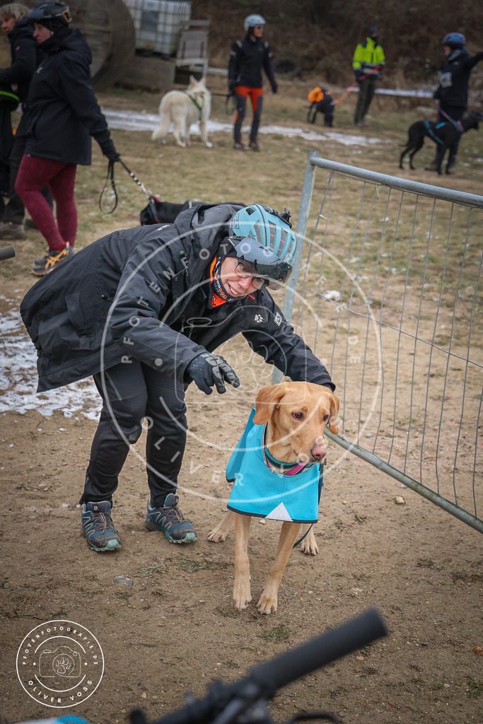 Pfotenfotografie_0L8A2183 | Hundefotografie, Tierfotograf, Pfotenfotografie, Fotoshooting Hund, Hunde Portrait, Hundesport, Hundeportraits, Heideshooting, Hunde, Sportfotograf, Hundefotograf, Turnierhundsport, THS,  - Realisiert mit Pictrs.com